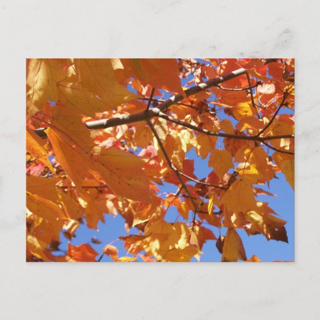 Hin zum Himmel Postkarte (Vorderseite)