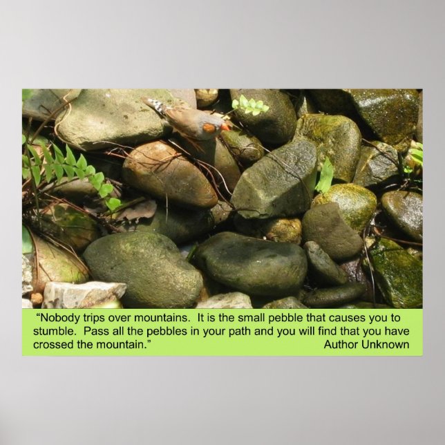 Hindernisse, Druck Poster (Vorne)