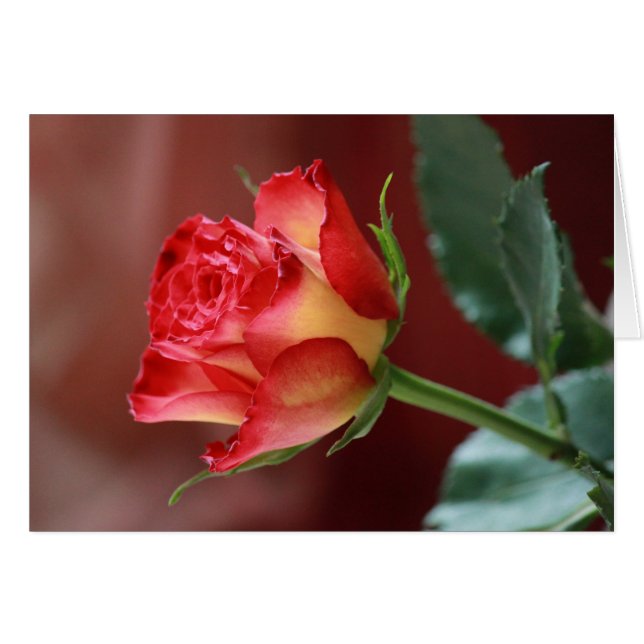 Hindi (Devant horizontal)