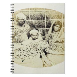 Hindische Gemüse-und Frucht-Verkäufer in Madras, Notizblock