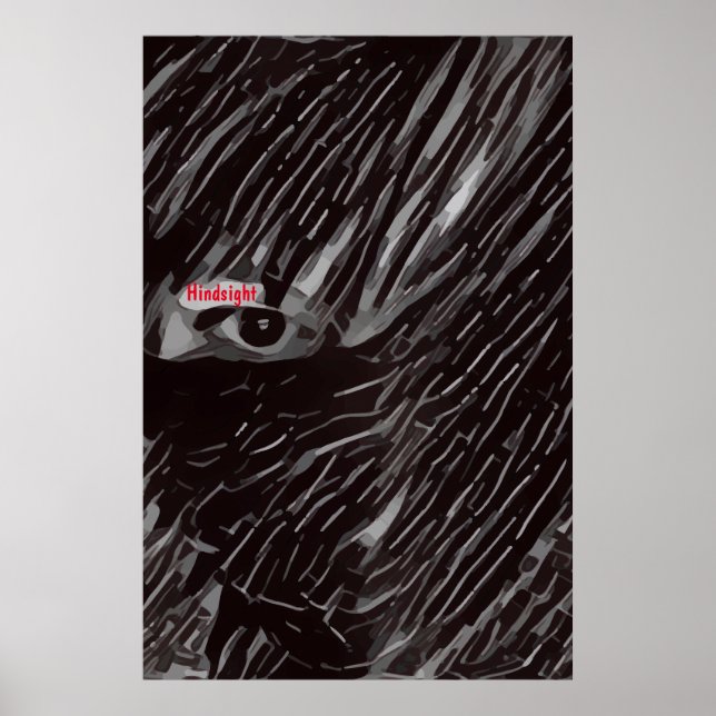 Hindsight Poster (Vorne)