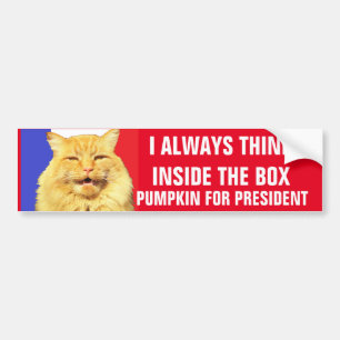 HINK NSIDEer bOX Pumpkin für Präsident Autoaufkleber