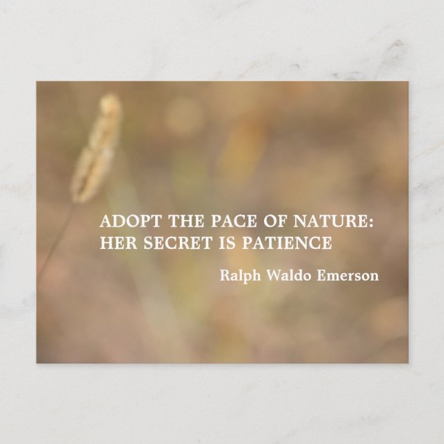 "Hint der Natur" Fotografiekunst mit Zitat Postkarte (Vorderseite)