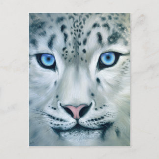 Hinter blauen Augen - Schneeleopard Postkarte