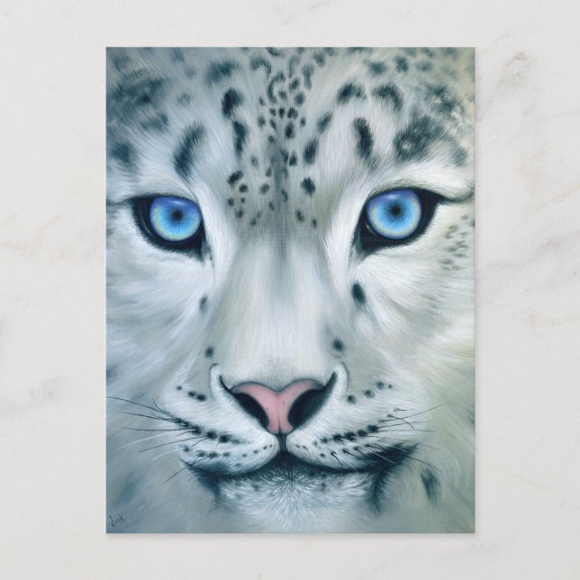 Hinter blauen Augen - Schneeleopard Postkarte (Vorderseite)