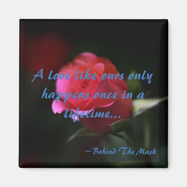 Hinter dem Maskenmagnent Magnet (Vorne)