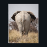 Hintere Ansicht des Elefanten Postkarte<br><div class="desc">Jaynes Galerie/DanitaDelimont.com | Afrika, Namibia | Namibia, Etosha Nationalpark, Okerfontein Waterhole. Hintere Ansicht des Elefanten. Kredit wie: Wendy Kaveney/Jaynes Galerie/DanitaDelimont.com.</div>