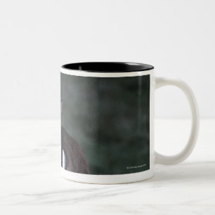 Hintere Ansicht eines Rotwilds, Neuseeland Zweifarbige Tasse