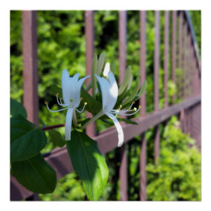 hintereinander poster