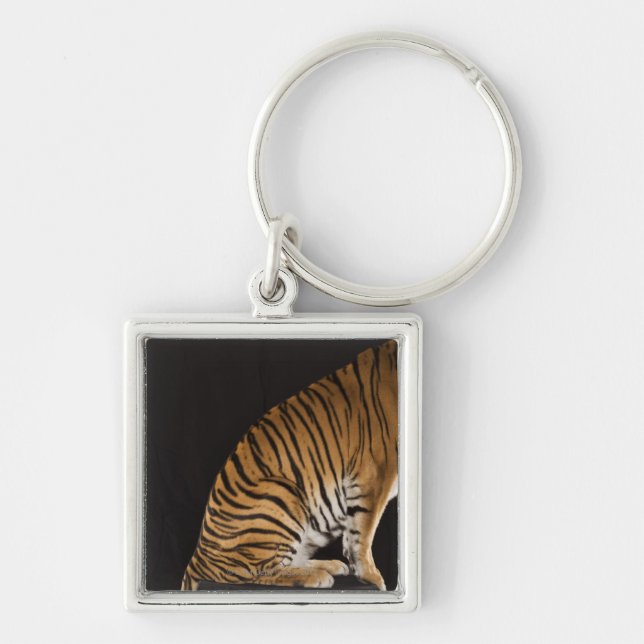 Hinteres Ende des Tigers sitzend auf Plattform Schlüsselanhänger (Vorne)