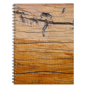 Hintergrund aus Naturholz, Holzschnitt und Bio Notizblock