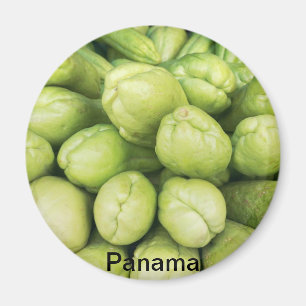 Hintergrund Bio Choko Sechium.Edule Magnet