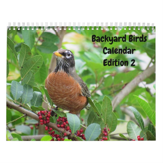 Hintergrund Birds - Ausgabe 2 Kalender (Titelbild)