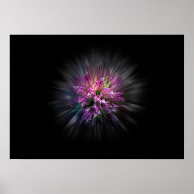 Hintergrund-Blume Nr. 53 Farbflussversion Poster (Vorne)