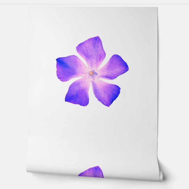 Hintergrund-Blume Tapete (Abrollen)