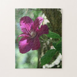 Hintergrund, Blüte, Blume, Natur, Sommer,