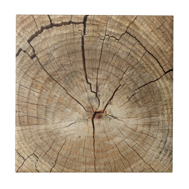 Hintergrund der Imitate Tree Rings Fliese (Vorderseite)