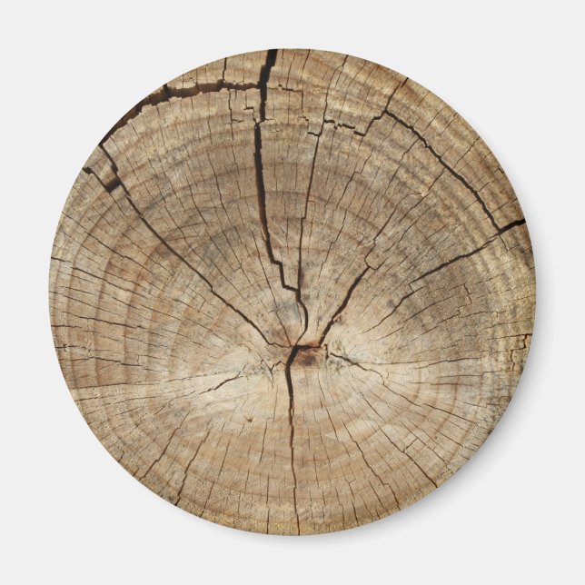 Hintergrund der Imitate Tree Rings Magnet (Vorne)