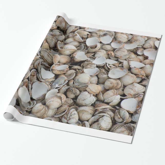 Hintergrund der Muscheln Geschenkpapier (Ungerollt)