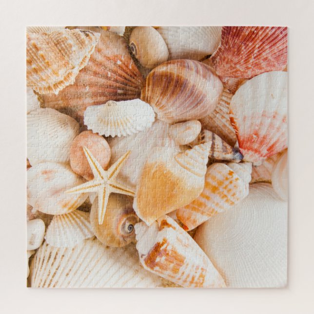 Hintergrund der Muscheln: Meeresthema. (Vertikal)