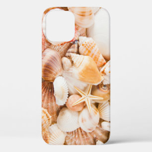 Hintergrund der Muscheln: Meeresthema. Case-Mate iPhone Hülle