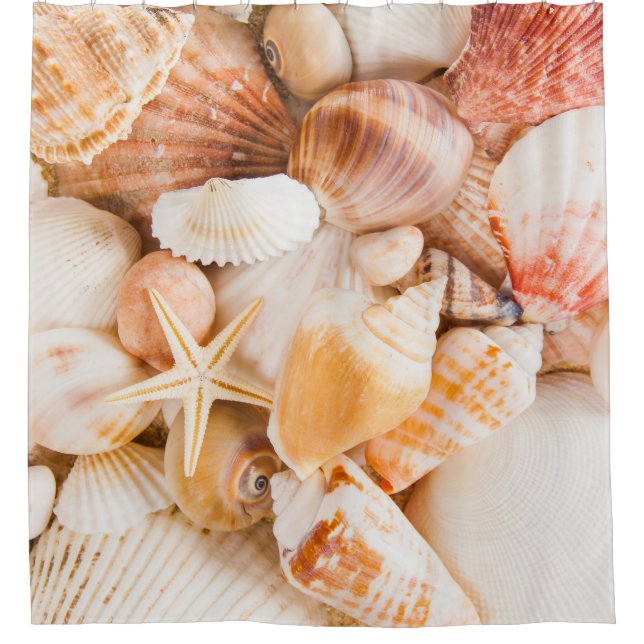 Hintergrund der Muscheln: Meeresthema. Duschvorhang (Vorderseite)