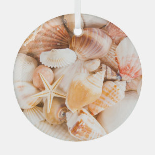 Hintergrund der Muscheln: Meeresthema. Ornament Aus Glas