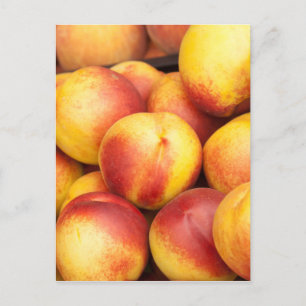 Hintergrund der Nektarinen Postkarte