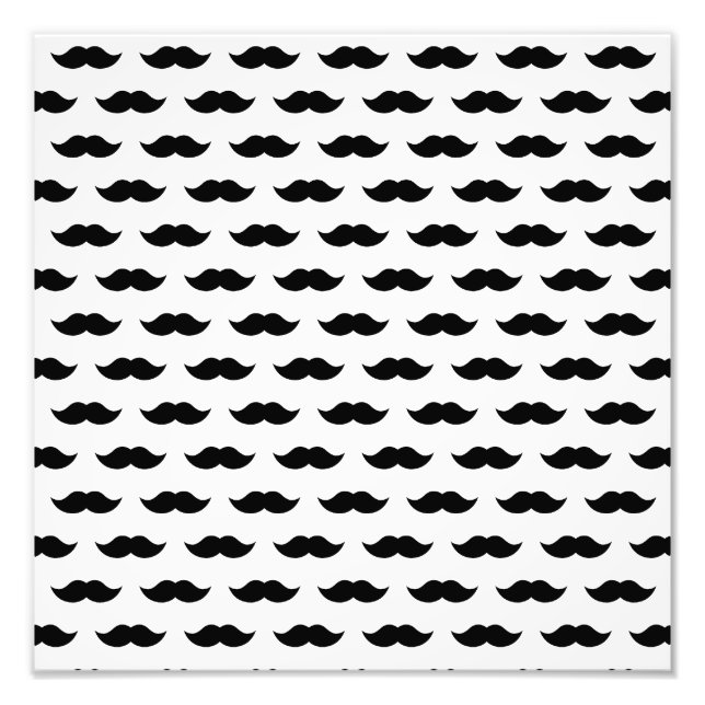 Hintergrund der Schwarzen Schleiche Fotodruck (Vorne)