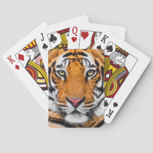 Hintergrund der Tigerfront Spielkarten