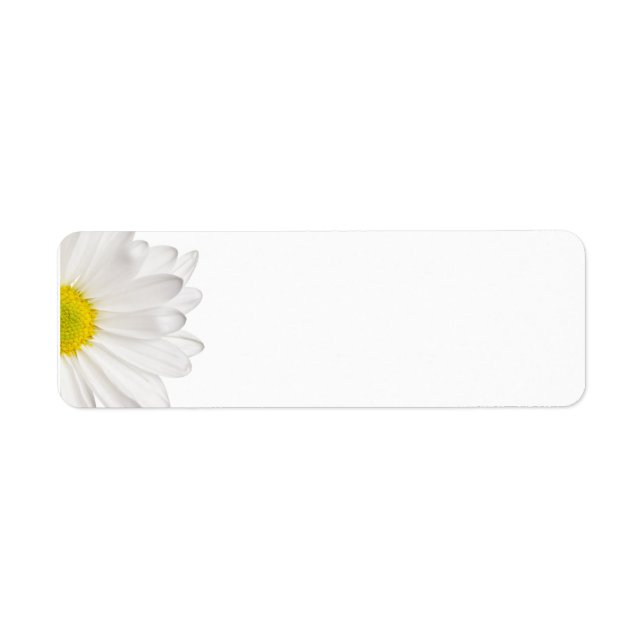 Hintergrund der White Daisy Blume - kundenspezifis (Vorne)
