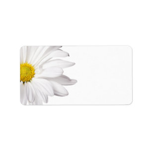 Hintergrund der White Daisy Blume - kundenspezifis Adressaufkleber