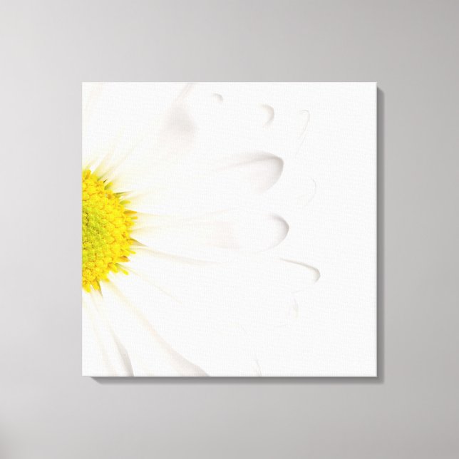 Hintergrund der White Daisy Blume - kundenspezifis Leinwanddruck (Vorderseite)