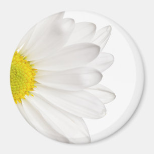 Hintergrund der White Daisy Blume - kundenspezifis Magnet