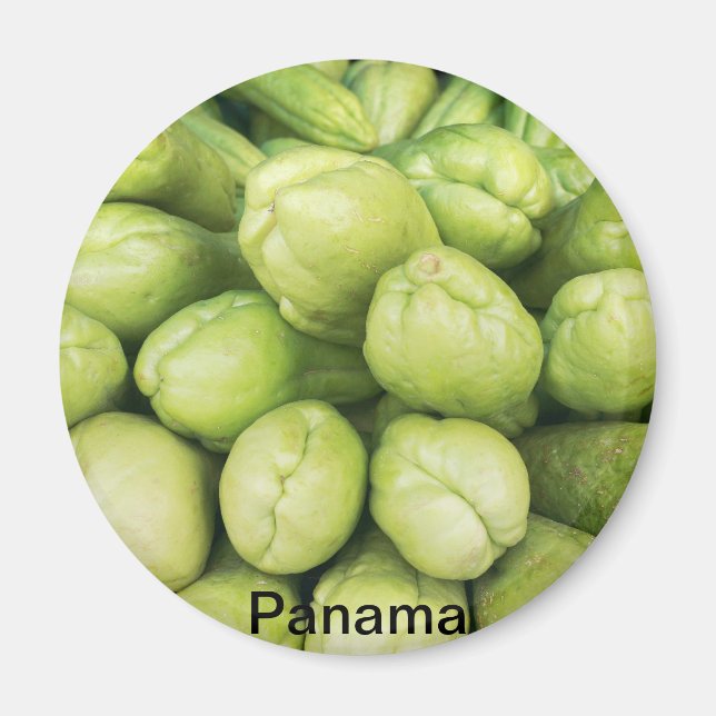 Hintergrund des Bio Choko-Setsuiu-Terminals Magnet (Vorne)