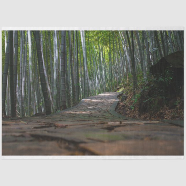 Hintergrund des Walddekouts von Bambus 12  Seidenpapier (Vorderseite)