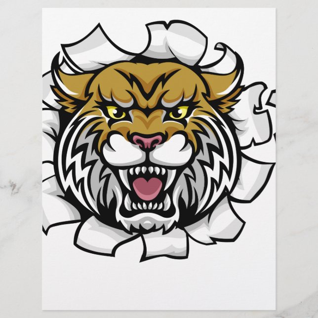 Hintergrund des Wildcat Holding Cricket Ball Break (Vorderseite)