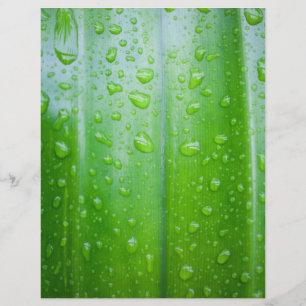 Hintergrund für grüne Blätter Flyer