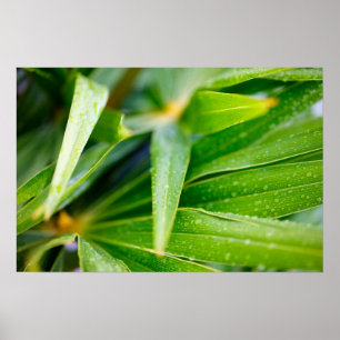 Hintergrund für grüne Blätter Poster