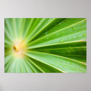 Hintergrund für grüne Blätter Poster