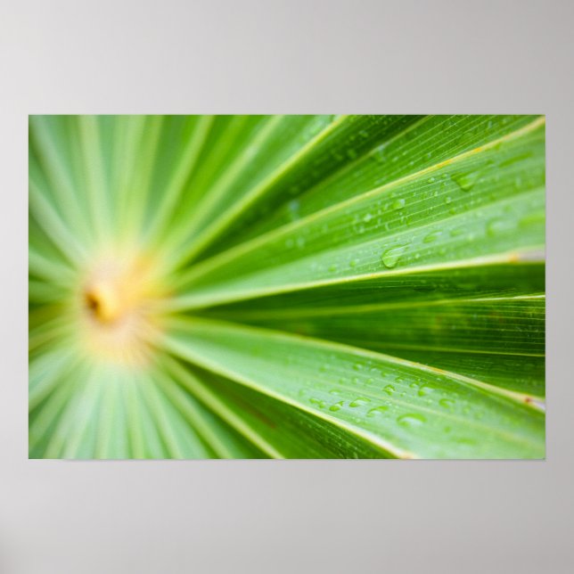 Hintergrund für grüne Blätter Poster (Vorne)