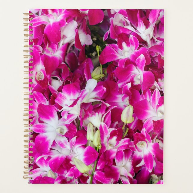 Hintergrund für lila orchid-Blume Planer (Vorderseite)