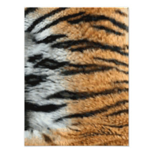 Hintergrund für Tiger Stripe-Print Fotodruck