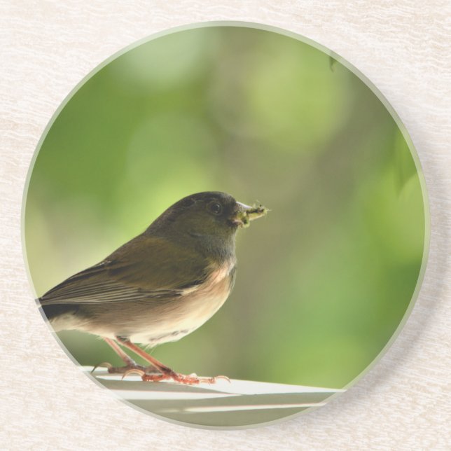 Hintergrund für Vögel in grünen Blätter Getränkeuntersetzer (Vorne)