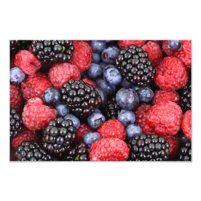 Hintergrund für Waldfrüchte Fotodruck (Vorne)