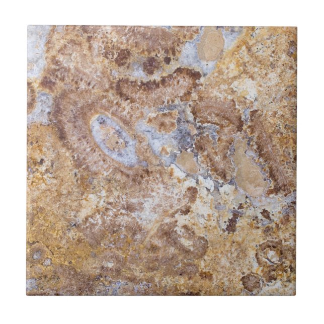 Hintergrund mit Marmormuster Fliese (Vorderseite)