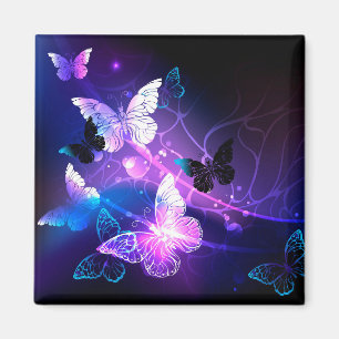 Hintergrund mit Nachtschmetterlingen Magnet