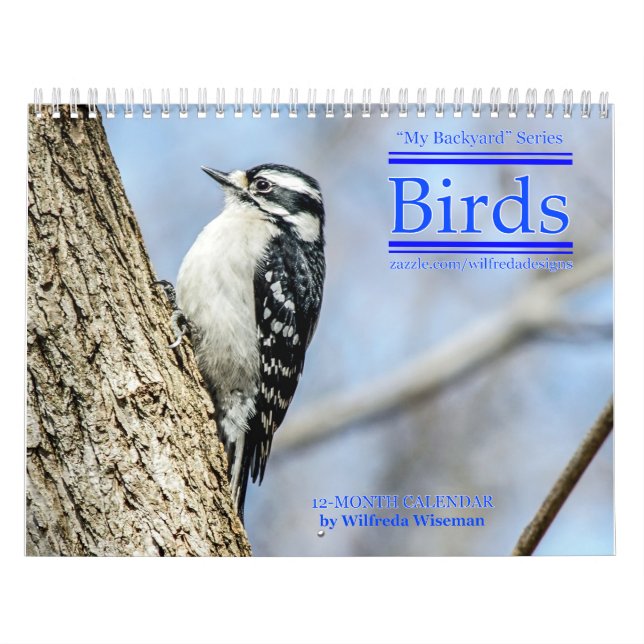 Hintergrund-Vogelkalender 4. Kalender (Titelbild)