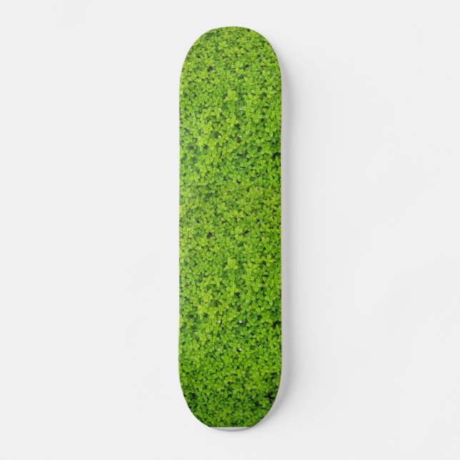 Hintergrund von Ivy Wall Skateboard (Vorderseite)