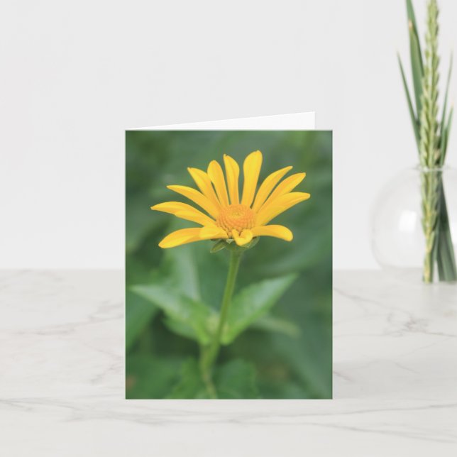 Hintergrundbeleuchtete Blume Dankeskarte (Vorderseite)